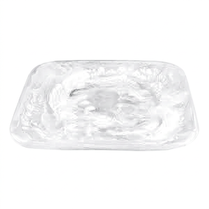 Plato Plano de Resina, Color Sólido, Diseño Minimalista, Ecológico, Apto para Lavavajillas, Vajilla Desechable para el Hogar y Restaurantes - Product Image 1