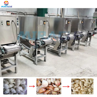 Groothandel Automatische Knoflookschilmachine Boerderij Gebruik Fruit & Groente Huidverwijderaar Dunschiller