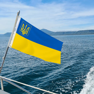 卸売3*5フィートポリエステルウクライナ国旗なしフェードイベント & ホリデーデコレーション自動車教育旅行代理店 - Product Image 4