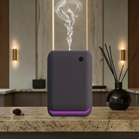 Diffuseur d'arômes intelligent, nouvelle arrivée, commercial et domestique, portable, Bluetooth/WiFi, avec prise US