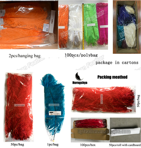 Số Lượng Lớn Màu Đỏ Tự Nhiên 55Cm 60Cm Màu Đen Trắng Hồng Trung Tâm Chùm Đà Điểu Lông Cho Đảng Đám Cưới Nhà Hoa Trang Trí Nội Thất Tự Làm Thủ Công - Product Image 3