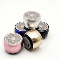 Mini-enceinte sans fil à moule exclusif d'usine, subwoofer extérieur avec microphone intégré et fonction d'appel, vente en gros