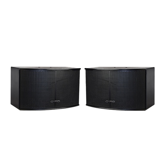 Acoustic Design Professional Speaker Unique Appearance High Density MDF 10 Inch 180W Speakers