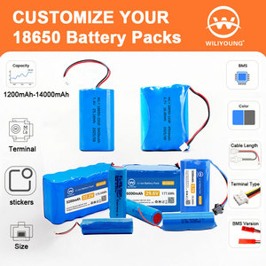 WLY Fabrikpreis Tragbarer Kleiner 7,4-Volt 3000mAh Wiederaufladbarer 2S1P 18650 Lithium-Akkupack für Elektrowerkzeuge und Unterhaltungsgeräte - Product Image 1