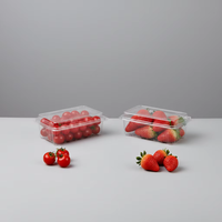 Chinese fabrikant op maat gemaakte 250g 500 aardbei-kersentomaat verpakking PET plastic clamshell doos fruitverpakking tray