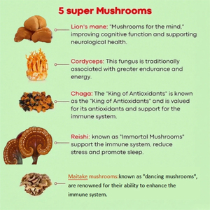 <span class=keywords><strong>Poudre</strong></span> de champignon de cacao avec Reishi Chaga Healthy Focus et énergie apaisante bénéfique pour le café instantané - Product Image 5