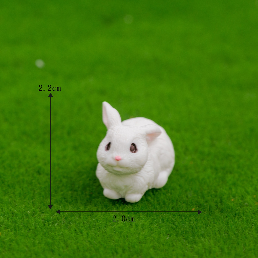 Taille 3 Grand Squat