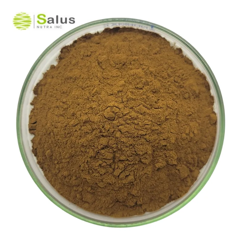 Salus Groothandel Bacopasiden 20% Bacopa Monnieri Extract