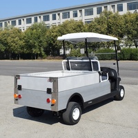 Mini camionnette électrique ZYCAR neuve de 0,5 tonne pour le transport de personnes et de matériel