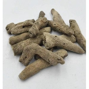 Nuevo Extracto de Espículas de Esponja <span class=keywords><strong>Fragilis</strong></span> Lecidy con Sabor, Polvo de Espículas de Esponja - Product Image 3