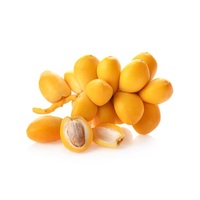 Cairo Fresh Premium Verse Egyptische Barhi Dadels Model Barhi-2025 Hoge Kwaliteit Natuurlijke Zoetheid Klaar voor Export naar Bangladesh