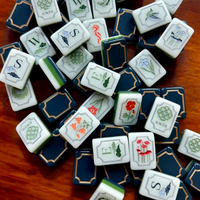 Mahjong américain 160 tuiles en acrylique résistant et durable, portable, pour divertissement de casino, Lthe Tuesday Table Mahjong |   le Kensington