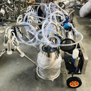 Machine à traire à double usage huile-électrique à double baril Moteur à essence Tire-lait à vide Pulsation Elevage de vaches - Product Image 5