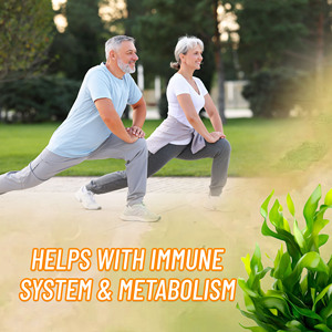 Private Label Sea Moss Gummies with Total Carbohydrate Upports Metabolic Balance and Energy Regulation Support Digstion Gummies - Product Image 3