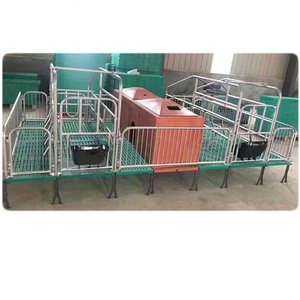 Piso de plástico ranurado BMC de diferentes tamaños y estilos para cerdos, cabras, ovejas y otros animales, equipo para granjas porcinas - Product Image 3