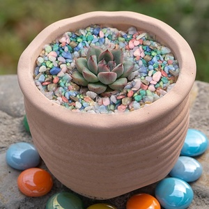 Ciottoli di Pietra Naturale Lucidati <span class=keywords><strong>Colorati</strong></span> <span class=keywords><strong>per</strong></span> Piante da Interno, Succulente, Cactus, Acquari, Riempitivi <span class=keywords><strong>per</strong></span> <span class=keywords><strong>Vasi</strong></span>, Artigianato in Resina - Product Image 6