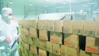 Vente en gros de guimauves lactées aromatisées aux fruits du Vietnam, nougat sucré, paquet de 1 kilogramme, bonbons frais et moelleux, durée de conservation de 45 jours