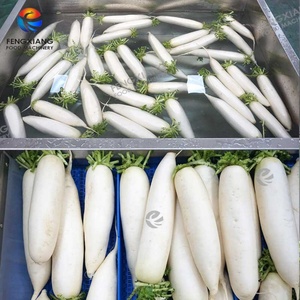 Machine de lavage à brosse souple personnalisée pour fruits et légumes racineux avec réservoir de trempage et sécheuse à ventilateur - Product Image 5