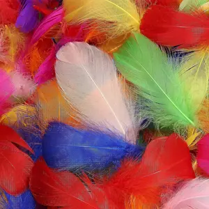 शिल्प के लिए पंख मिश्रित इंद्रधनुष के रंग पंख बच्चों के लिए DIY हस्तनिर्मित शादी होम पार्टी सजावट प्राकृतिक पंख