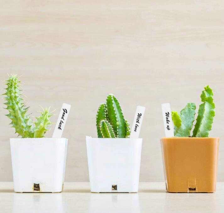 50 Etichette Per Piante Con Pennarello - Innesto Per Giardino, Balcone, Orto 15 Cm