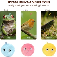 Chats Chatons Exercice Animaux Son Chats Interactif Kicker Cataire Balle Jouet avec Moelleux