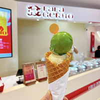 Mesin Pembuat Es Krim Miles Galaxy PRO V2 NSF CE Approved, Mesin Gelato Otomatis dengan Mesin Es Krim Keras