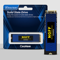 قرص صلب أصلي من نوع SATA M.2 NGFF 2280 بسعات 256 جيجابايت و512 جيجابايت و1 تيرابايت مصنوع من سبائك الألومنيوم