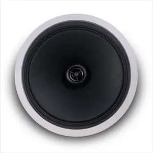 QQCHINAPA Pemasok Grosir Speaker Dipasang Langit-langit Loudspeaker 8 Inci 8Ohm ABS Pa untuk Sistem Home Theater