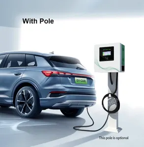 Manufacturer Single Gun 20KW Wall Mounted Fast DC CCS1 CCS2 Electric Car Ev Charger Station