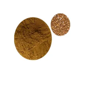 Best Price Factory Supply Buckwheat Tartary Seed Extract Powder