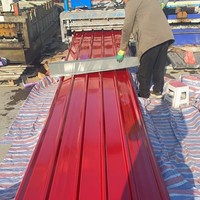 0,5mm PPGL PPGI Verzinkte Stahlblech-Dachplatten Verzinkte Wellblech-ZINK-Dachpaneele