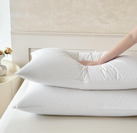 Coussins en duvet de canard blanc de luxe, super moelleux, taille standard, en coton, anti-duvet, avec garnissage en plumes et duvet de canard blanc.