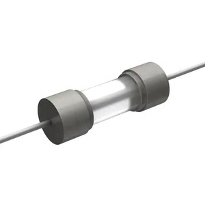 <span class=keywords><strong>Fusible</strong></span> en verre à bon <span class=keywords><strong>prix</strong></span> <span class=keywords><strong>16A</strong></span> 250V à fusion lente à travers trou - Product Image 1
