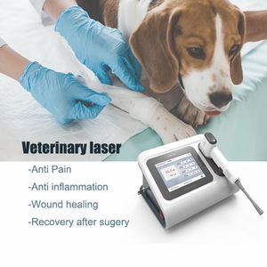 Peralatan Terapi Laser Kelas 4 Tingkat Tinggi untuk Rehabilitasi Pergelangan Kaki Kuda/Kucing/Anjing - Product Image 3