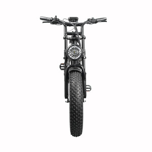 Bicicleta Eléctrica de Doble Motor para Hombre, 1000W, Aluminio, Todoterreno, Neumáticos Gruesos de 20 Pulgadas, 7 Velocidades, Diseño R1 de Doble Motor, 1500W, Potentes Motores Duales que Proporcionan R - Product Image 6