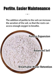 Gartenbau <span class=keywords><strong>Expanded</strong></span> <span class=keywords><strong>Perlite</strong></span> Grobe Qualitäten 1 ~ 15 mm Boden änderung Wachsendes Medium mit Belüftung entwässerung Feuchtigkeit retention - Product Image 2