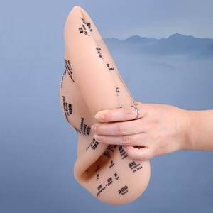 30 सेमी पारंपरिक चीनी चिकित्सा ऑरिकुलर पॉइंट मॉडल दोहरी भाषा उत्कीर्ण कान अभ्यास शरीर सुरक्षा फ़ंक्शन प्लास्टिक - Product Image 2