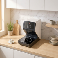 Machine à ramen coréen professionnelle, cuiseur de nouilles électrique à induction automatique, station de cuisson rapide en libre-service pour comptoir