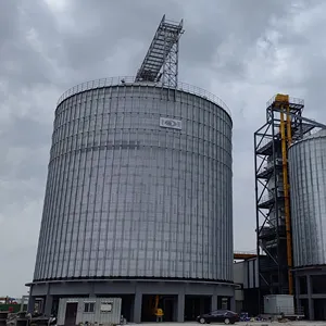 Venda quente grão aço silo 10000t armazenamento bin milho paddy trigo soja armazenamento silos