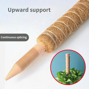 Supports décoratifs de plantes en fibre de coco pour le jardinage domestique - Product Image 4