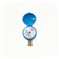 Daily Use Domestic Cold Single Jet Digital IP68 Brass DN15 Dry Dial OEM RUIYANG Water Meter