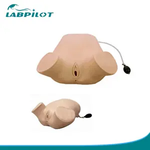 Las mujeres embarazadas de cuatro paso palpación Leopold maniobras examen Vaginal simulador