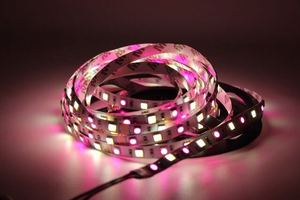 Dải đèn LED 12V 24V RGB CCT RGBW 5050 SMD, đèn thanh LED, đèn dây RGB+CCT RGB+CW+WW - Product Image 5