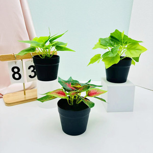 Planta Artificial en Maceta Verde de 16 cm, Decoración Interior de Plástico y Seda, Mini Adorno para Oficina, Balcón o Dormitorio - Product Image 3
