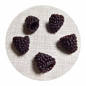 100 pezzi alla rinfusa in PVC Mini ornamenti di frutta artificiale lampone realistici perline di melma di bacche per la casa accessori per la decorazione della tavola della cucina - Product Image 5