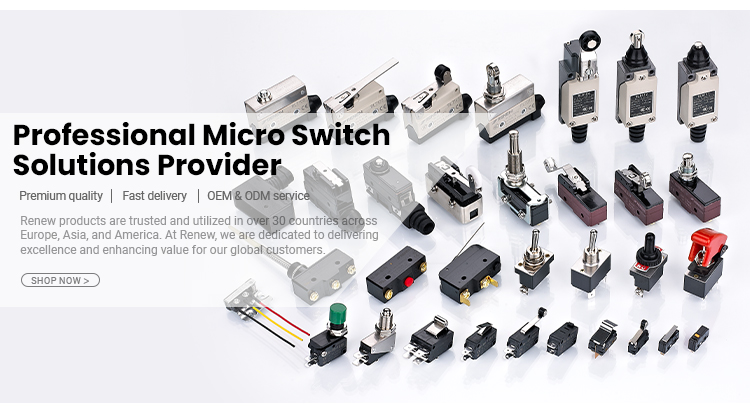 Renew RZ-15GD-B3 Limit Switch, SPDT 15A, CE Certified, IP00, UL