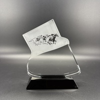Concours de courses de chevaux de sport Prix de l'événement Logo personnalisé Texte Compétition Personnalisation Trophée de cristal de verre