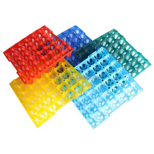 High Quality Colorful Egg Crate PP Transporation Tray Plastic Chicken Egg Tray For Chicken farm 30 plastic egg tray