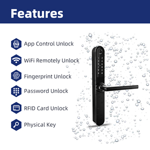Cerradura de Puerta Inteligente Liliwise Personalizable Ultra Delgada de Acero Inoxidable a Prueba de Agua con WiFi y BLE para Puertas de Aluminio y UPVC - Product Image 2
