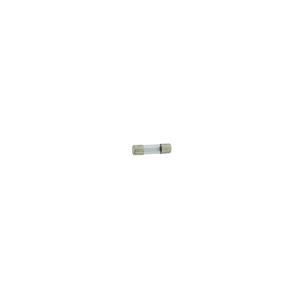 Fusibles Lac FUSE 5x20mm LENTO 0.1A (10 unids/caja) - Product Image 1